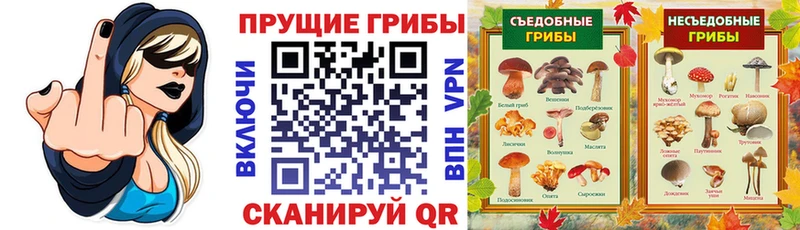 Галлюциногенные грибы GOLDEN TEACHER  даркнет сайт  Красково 